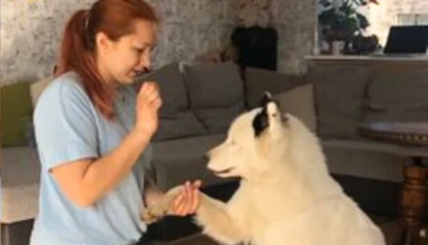 10_lobusat_mangu_1.osa