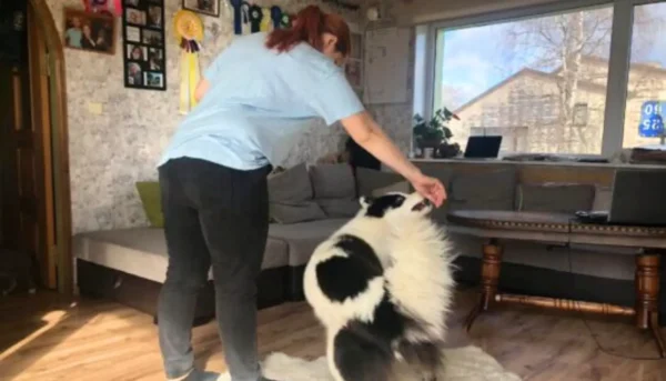 10_lobusat_mangu_2osa