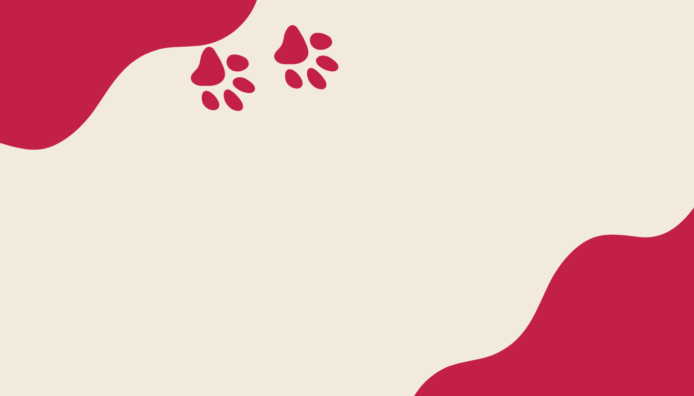 pet.ee_kampaania